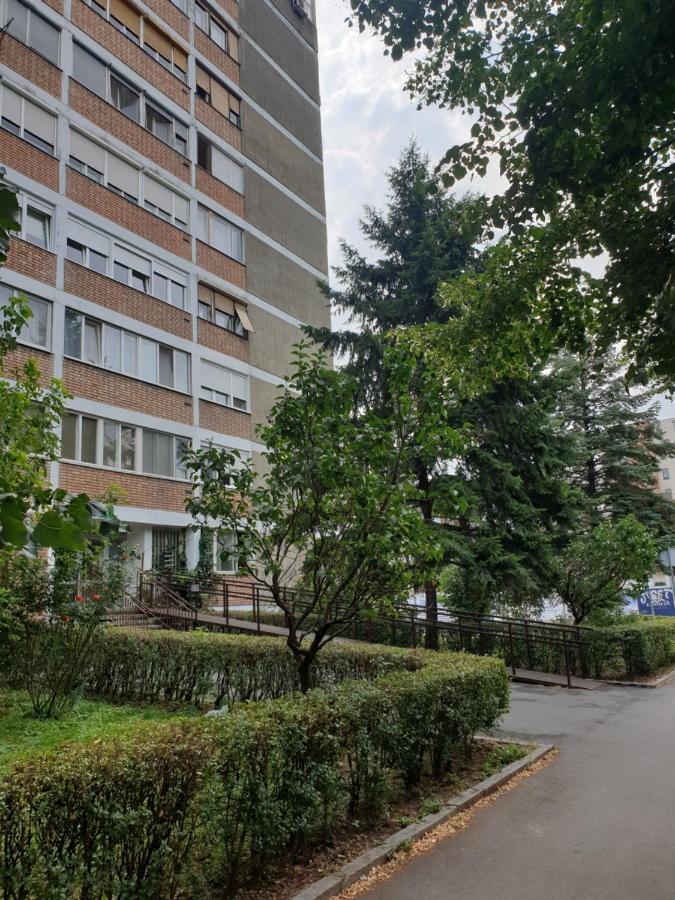 Exclusive Apartment Belgrad Dış mekan fotoğraf